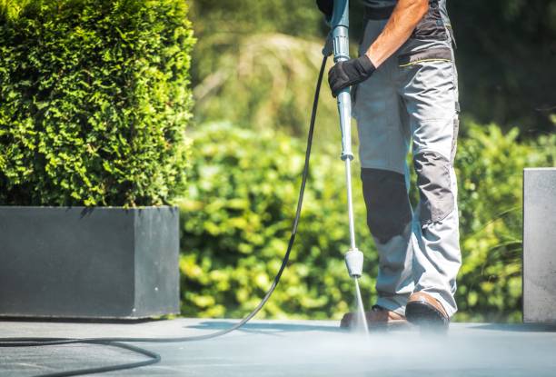 Best Fence Cleaning  in Phelan, CA